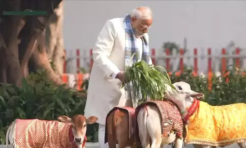 PM Modi Makar Sankranti