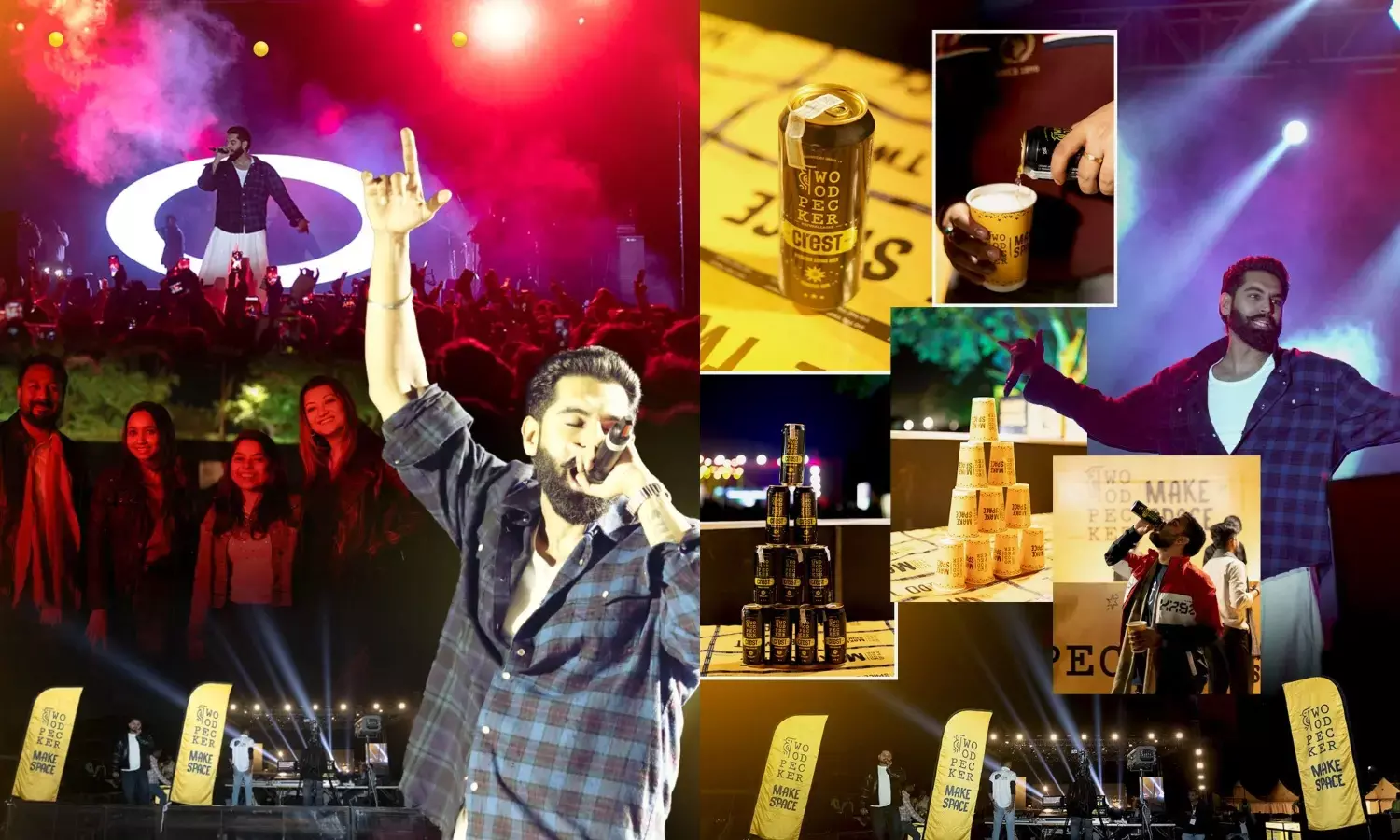 Parmish Verma Live Concert Bhopal