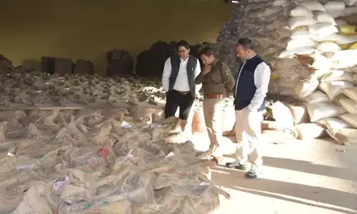 धान खरीदी में अनियमितता : 31 निलंबित एक बर्खास्त, 14 राइस मिल भी सील