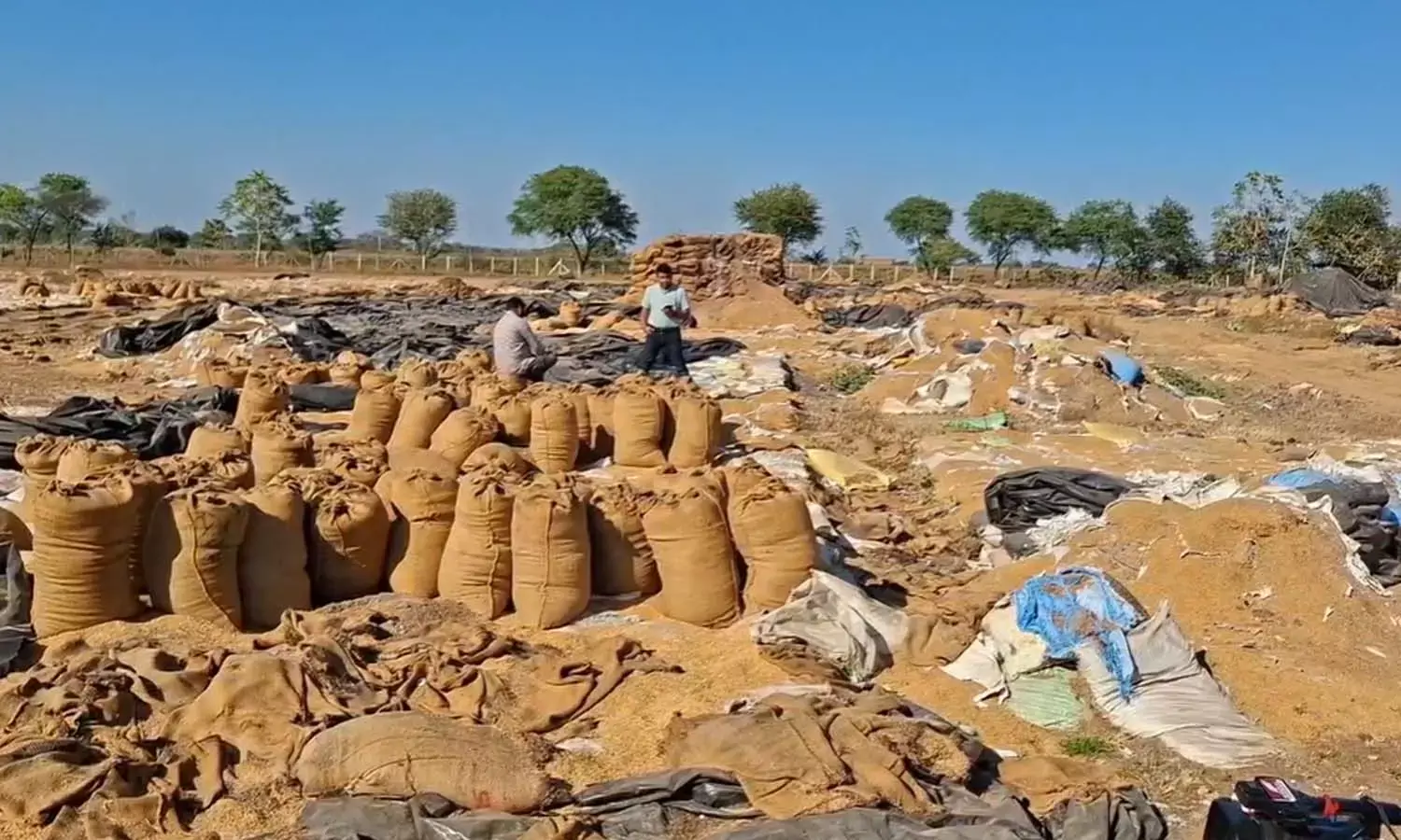 Bemetara paddy 17 crore paddy scam