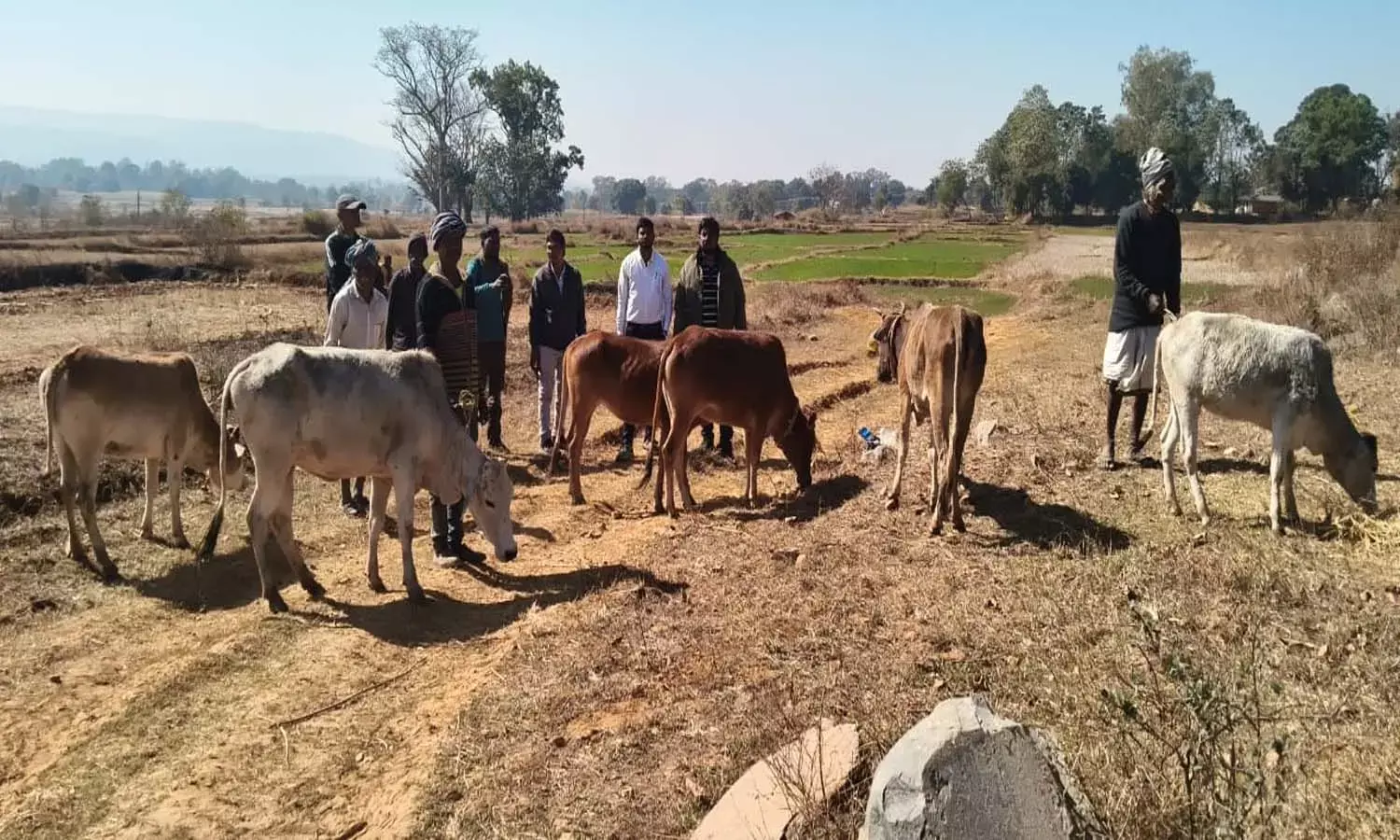 वाहन खराब होने पर गौ तस्करी का हुआ खुलासा: ग्रामीणों ने 13 गौ वंश से भरे पिकअप को पकड़कर पुलिस को सौंपा