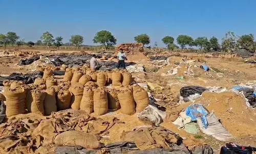 Bemetara paddy 17 crore paddy scam