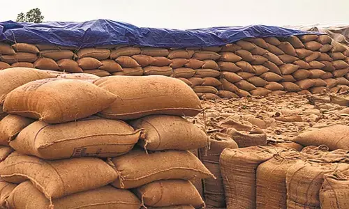 धान खरीदी का अंतिम चरण : तुंहर एप से टोकन अब नहीं, 29 तक धान बेच सकेंगे किसान