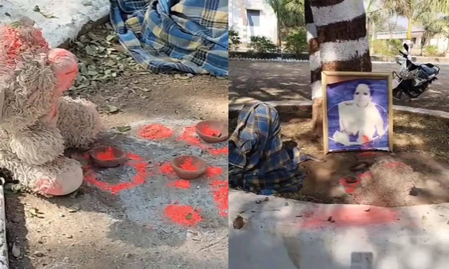 हायर सेकेंडरी स्कूल में तंत्र- मंत्र : पेड़ के नीचे बच्चे की फोटो रखकर की संदिग्ध क्रिया, जांच में जुटी पुलिस