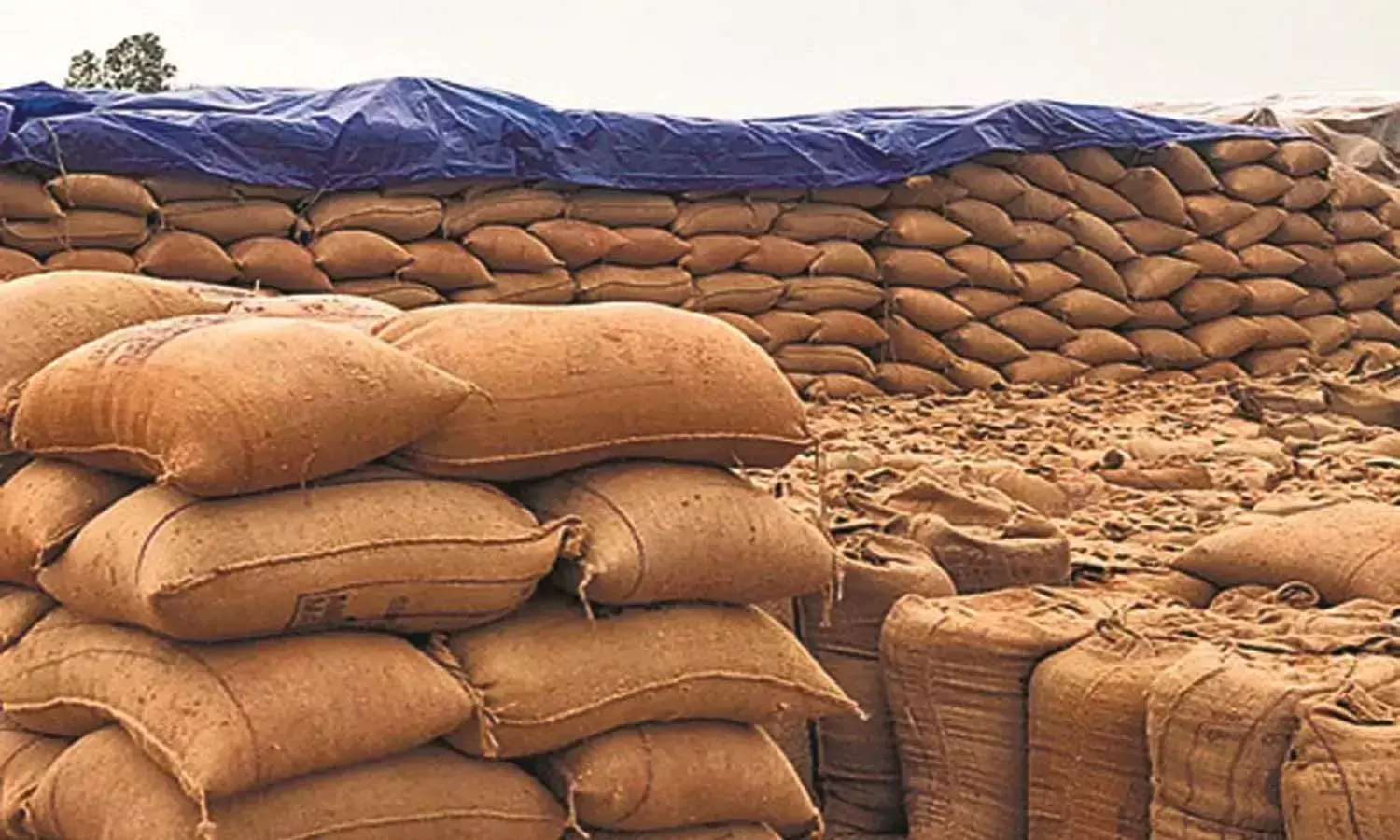 धान खरीदी में पारदर्शिता : अवैध परिवहन- भंडारण और मिलिंग पर प्रशासन सख़्त, कई जिलों में बड़ी कार्रवाई