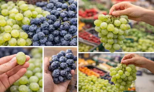 grapes buying tips in hindi grapes buying tips in hindi