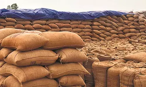 धान खरीदी में पारदर्शिता : अवैध परिवहन- भंडारण और मिलिंग पर प्रशासन सख़्त, कई जिलों में बड़ी कार्रवाई