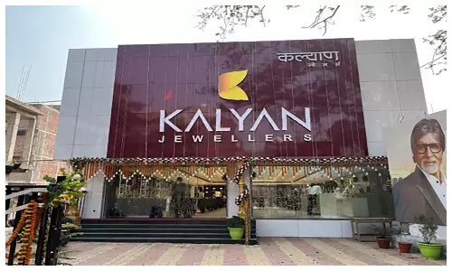 Kalyan Jewellers shares fall nearly 14%