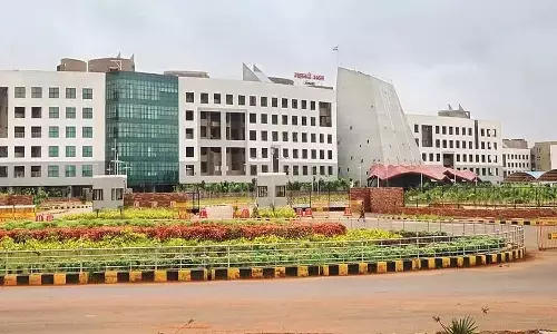 तीन आईएएस के प्रभार बदले : किरण कौशल को पाठ्य पुस्तक निगम, अवनीश कुमार को सीईओ RDA, आकाश छिकारा बस्तर कलेक्टर बनाए गए