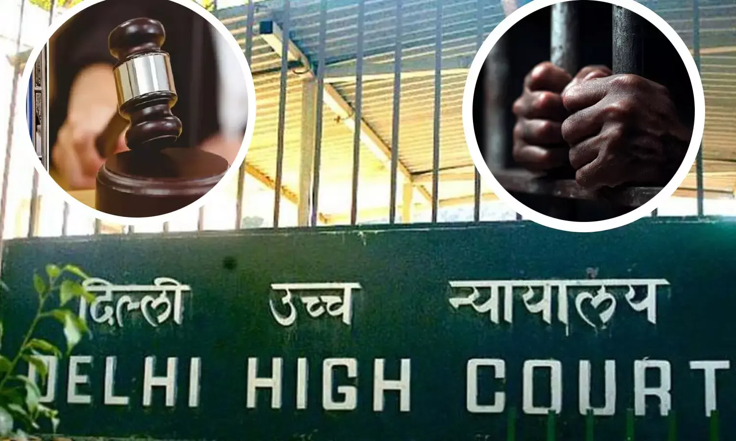 Delhi High Court Delhi High Court