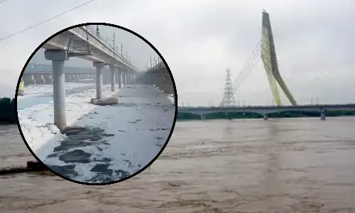 The Yamuna river water in Delhi has become toxic