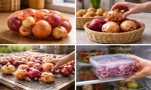 how to store onion for long time