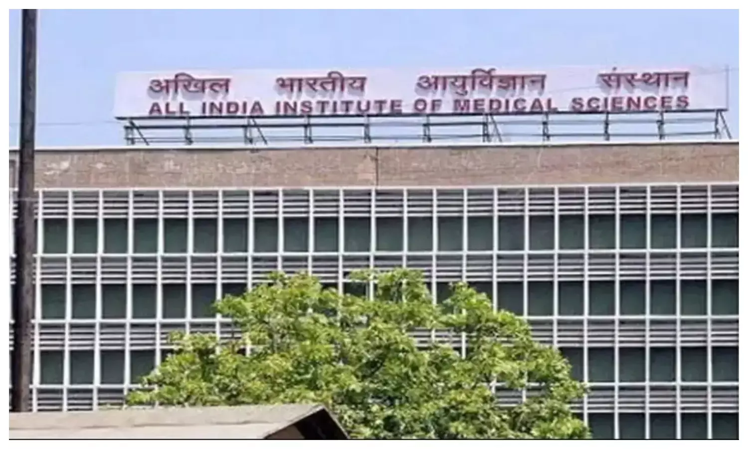 एम्स सीआरई ग्रुप-बी और ग्रुप-सी परीक्षा का रिजल्ट जारी, ऐसे करें डाउनलोड