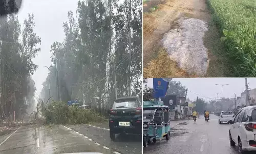 Haryana Weather Forecast