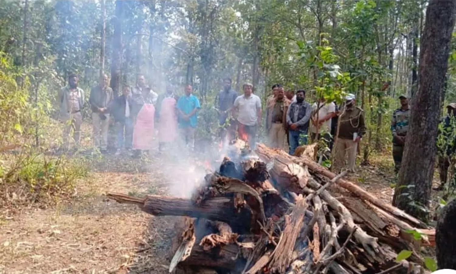 forest department negligence