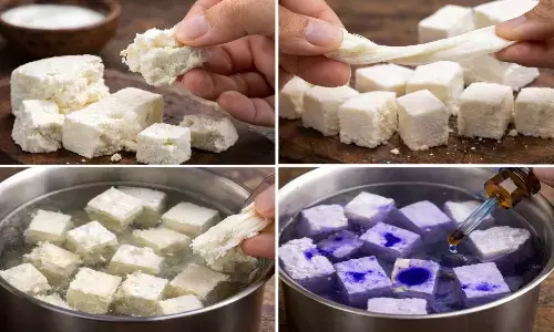how to identify adulterated paneer at home how to identify adulterated paneer at home