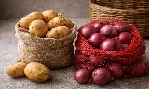 potato and onion storage tips potato and onion storage tips
