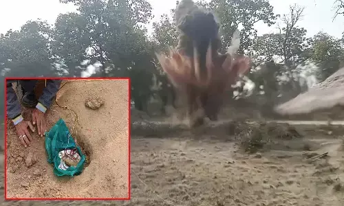 Elamidi search operation