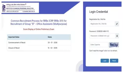 आईबीपीएस आरआरबी क्लर्क प्रारंभिक परीक्षा का स्कोरकार्ड जारी, ऐसे करें डाउनलोड