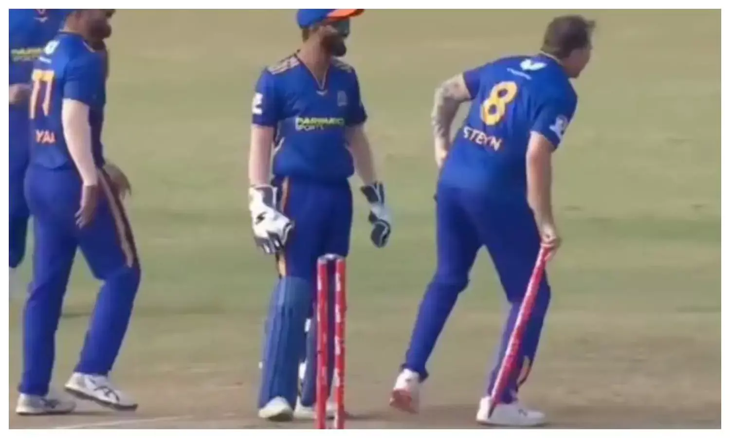 Dale Steyn celebration Video