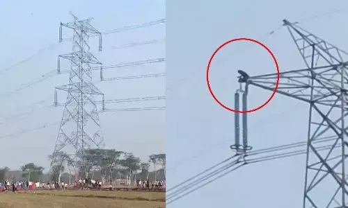 dhaan kharidi token issue