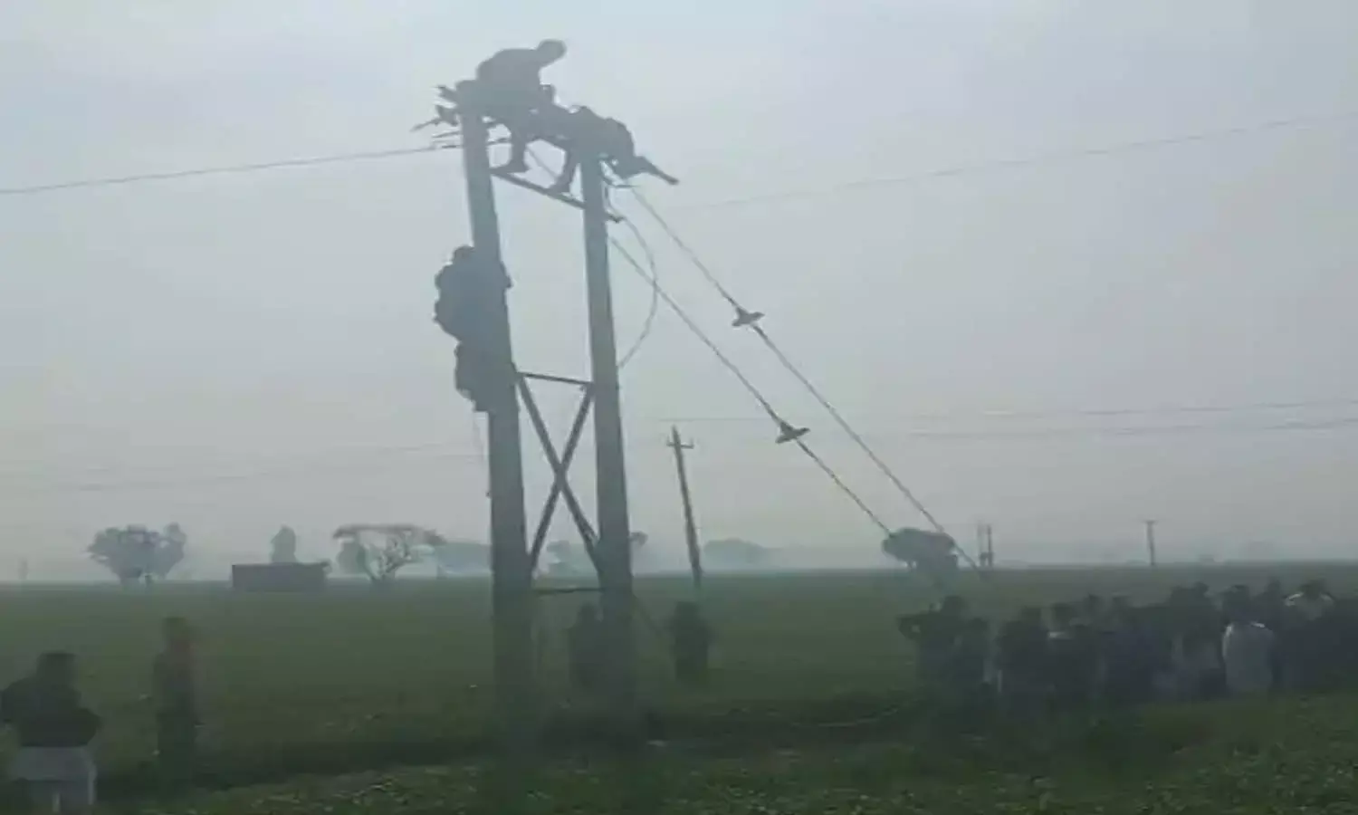 Haryana Crime Update