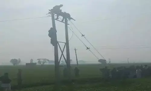 Haryana Crime Update