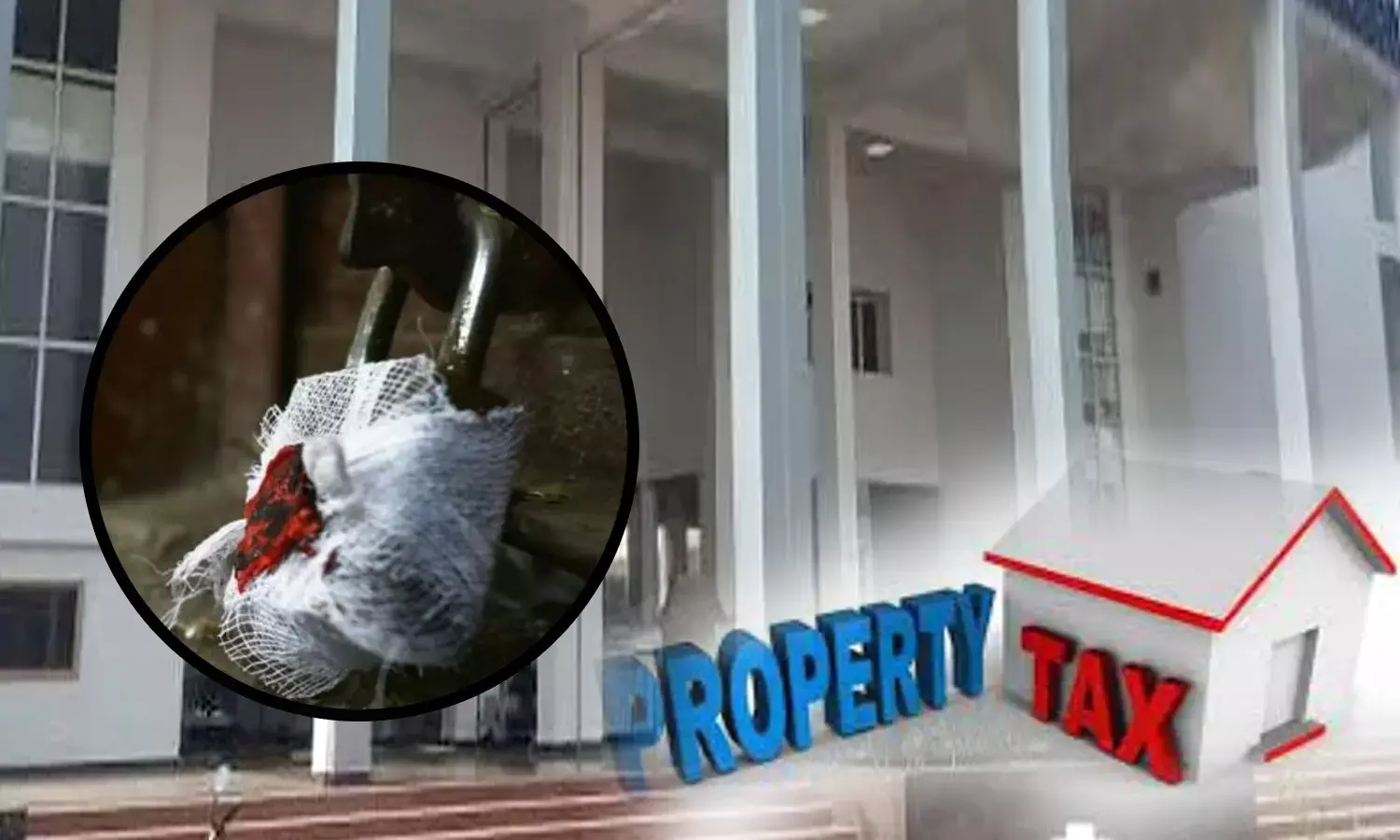 Faridabad Municipal Corporation warns Buildings whose property tax is not paid will be sealed Faridabad Municipal Corporation warns Buildings whose property tax is not paid will be sealed