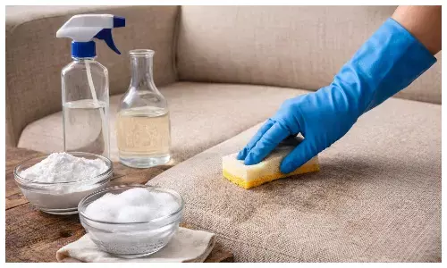 how to clean sofa without chemical how to clean sofa without chemical