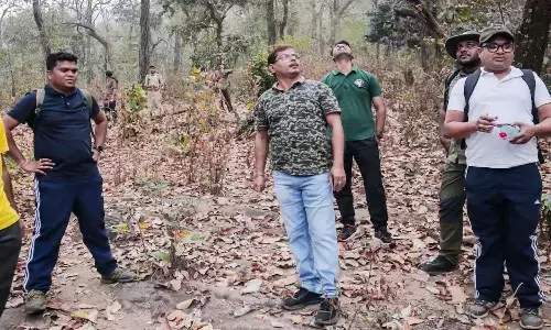 वन विभाग