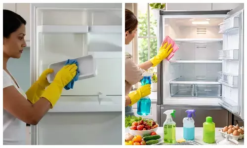 fridge cleaning tips in hindi
