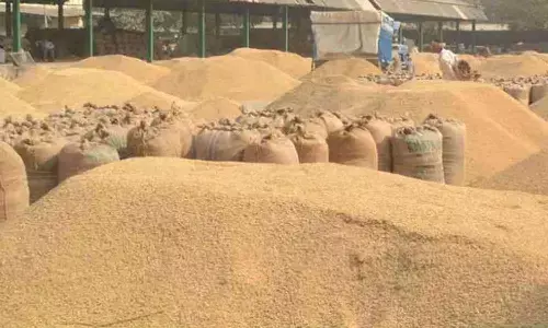 किसान आज और कल बेच सकेंगे धान