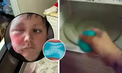 what is Squishy toy trend